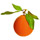 Oranges